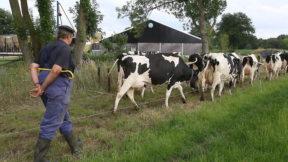 Nu de Speel- en Beleefboerderij is gerealiseerd en de vleesvarkenstak is aangepakt, willen ze de koeienstal  vernieuwen. Ook wil de familie een wandelpad langs de wroetstal aanbrengen, zodat de bezoekers naar de varkens kunnen kijken. „We willen graag tra