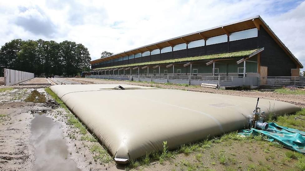 Op het Zonvarkenbedrijf wordt de mest via een eigen systeem gescheiden en de urine wordt opgevangen in een mestzak. De dunne fractie kan als kunstmestvervanger (nog niet officieel) gebruikt worden en bevat weinig fosfaat, zo’n 0,1 kilogram per ton. Er zit