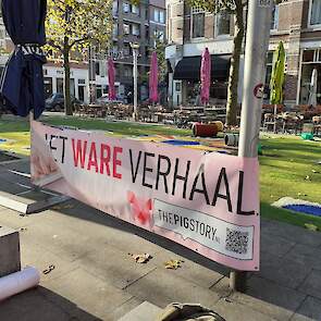 Via 'The Pig Story' zijn verschillende groepen binnen de varkenshouderij samengevoegd om het ware verhaal over de sector te vertellen. Onder meer met een lespakket voor basisscholen.
