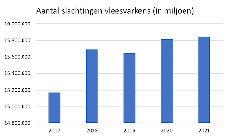 Aantal slachtingen vleesvarkens