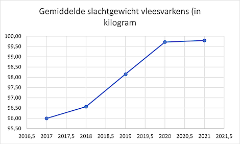 Gemiddelde slachtgewicht vleesvarkens