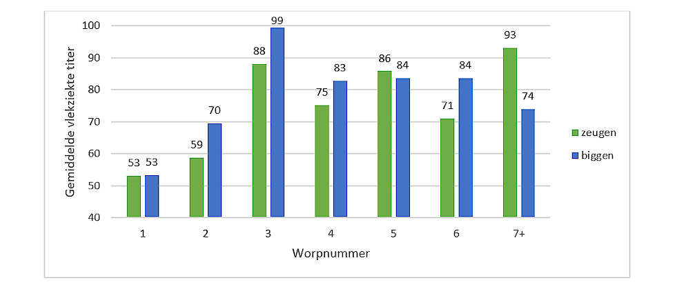 Figuur 2. Gemiddelde vlekziekte titer bij zeugen en biggen per worpnummer. Bloedmonsters werden onderzocht met CIVTEST® SUIS SE/MR, een titer >40 wordt als positief beschouwd.