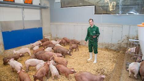 Grösbrink koos voor een serrestal: ,,Dankzij het lichtdoorlatende dak konden de lampen tot november uit blijven. Varkens zijn schemerdieren. Het lichtdoorlatende dak past perfect bij hun natuurlijk gedrag.''