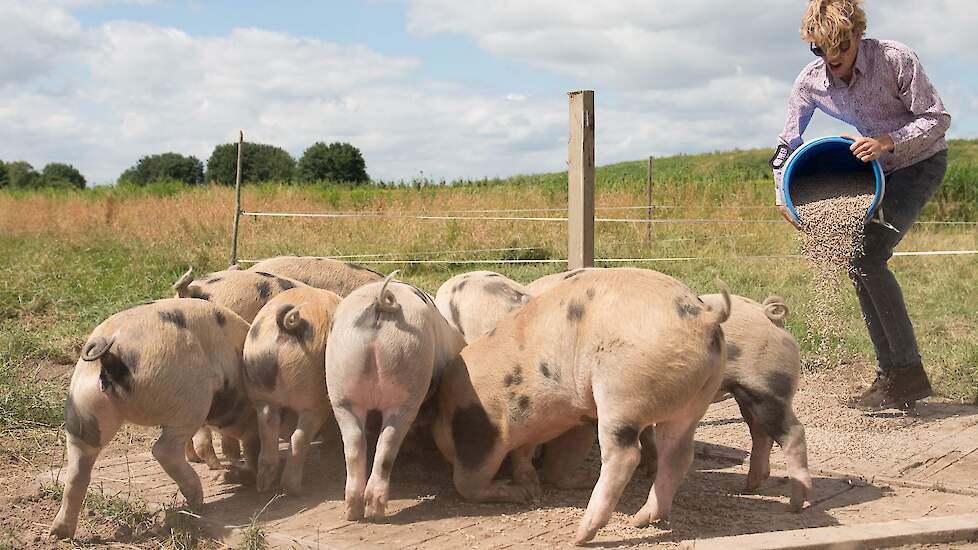 Het aantal marktconcepten is de laatste jaren toegenomen. Varkenshouders staan voor keuzes en elk initiatief heeft zijn eigen voorwaarden om mee te mogen doen. In deze serie over ‘concepten’ lichten we elke maand een initiatief toe zodat je als varkenshou