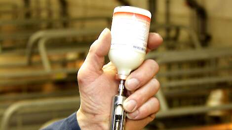 Oekraïnse varkenshouders slaan een noodkreet. In hun stallen hebben ze onder meer een groot gebrek aan antibiotica.