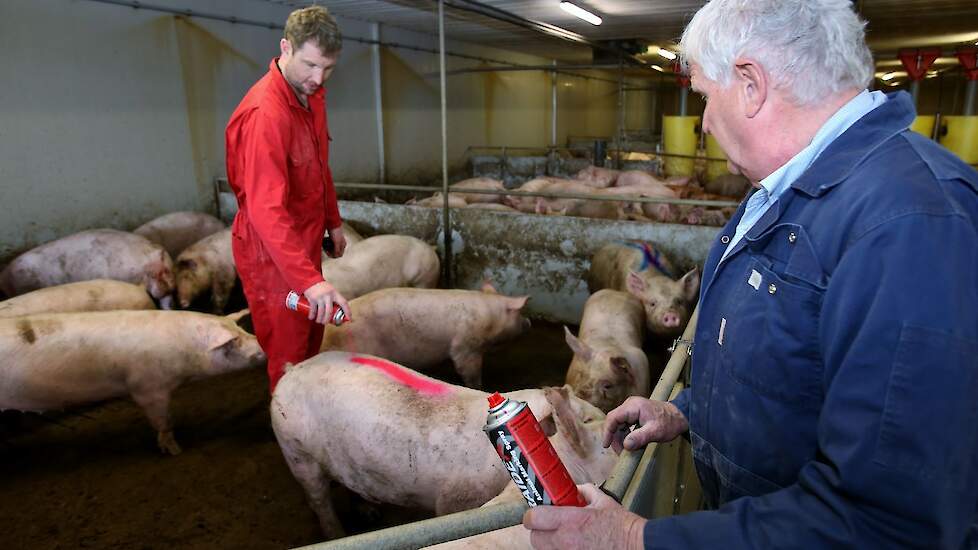 Samenwerking tussen vader en zoon is het ideaalplaatje voor veel ondernemers. Een goede samenwerking vraagt wel om meer dan samen het werk doen; het vraagt ook interesse in elkaars motivatie.
