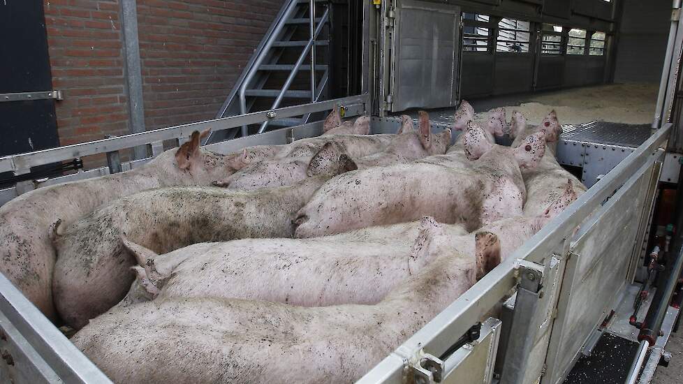 Beeld ter illustratie.