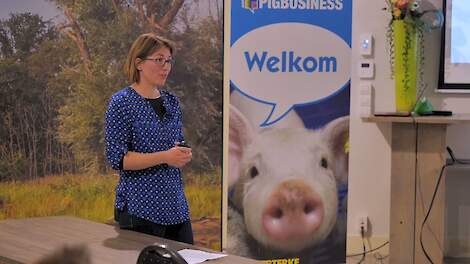 Workshop ‘Diagnostiek en bemonstering van PRRS’