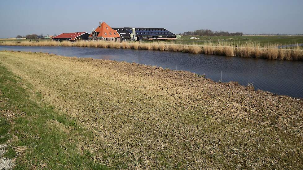Beeld ter illustratie.