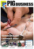 Cover Vakblad Pig Business › Editie 2015-1