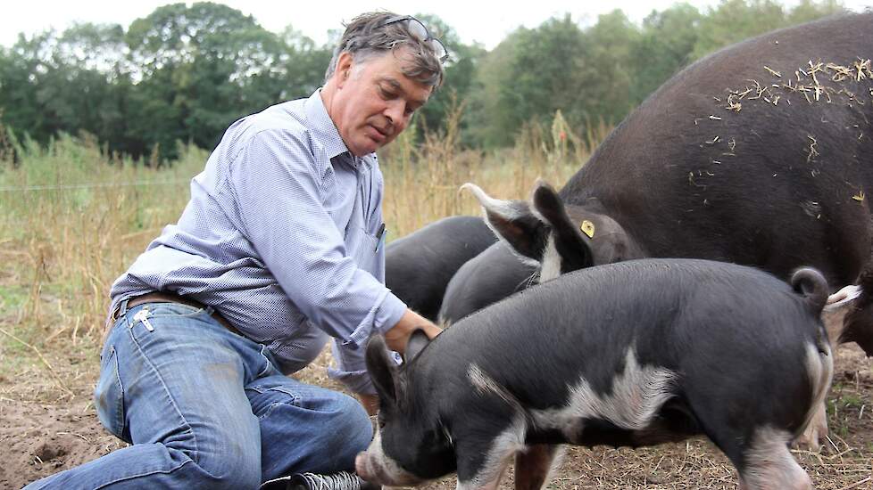 Dierenarts en varkenshouder Kees Scheepens gaat de Pigster stal op zijn locatie bouwen