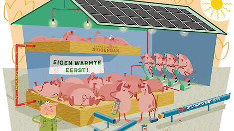 Door de gestegen energieprijzen zijn de terugverdientijden van energiebesparende technieken flink gereduceerd, zegt Jan Pijnenburg van DLV Advies.