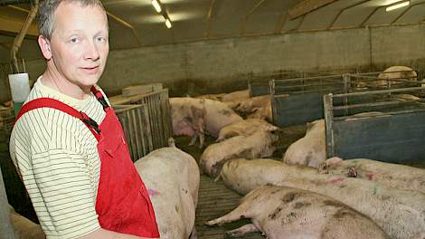 Hogenkamp ziet geen agressie bij zijn zeugen in de groepshuisvesting