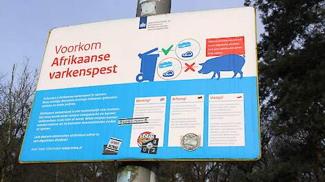 Bundesminister fordert deutlich höheren Beitrag zur ASP-Bekämpfung |  Pigbusiness.nl