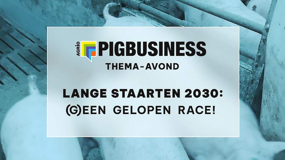 PigBusiness thema-avond: “Lange staarten 2030: (g)een gelopen race!” 22-03-23 Nederweert-Eind
