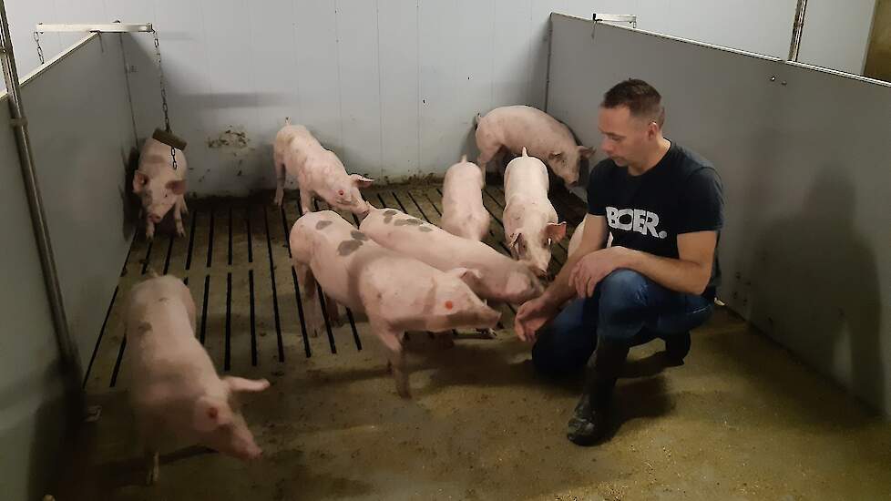 Varkenshouder Wijnand van Ee