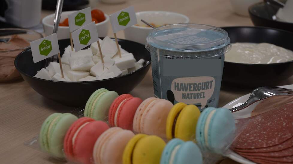 Eiwitten en zetmeel, afkomstig uit Veenkoloniale aardappelen, kunnen worden gebruikt als grondstof voor onder meer vegapaté, macarons en Griekse yoghurt.