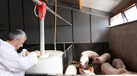 In België zijn lichtstraten met geïntegreerde inlaatventielen vanwege de wet- en regelgeving een veelgebruikte staltechniek.