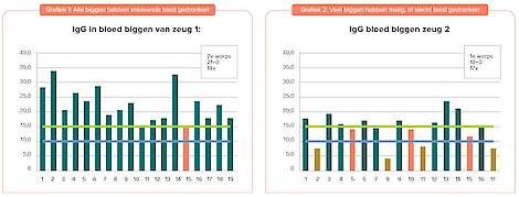 In grafiek 1 en 2 zie je de hoeveelheid antistoffen in het bloed van de biggen. Bij de ene zeug is de hoeveelheid immuunglobulinen (IgG)  en de verdeling ervan veel beter dan bij de andere zeug.