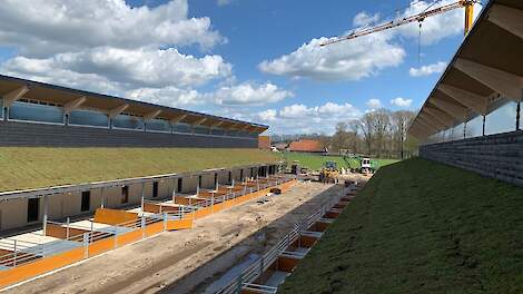 De Zonvarkenstal heeft uitloop naar buiten en is voorzien van een sedumdak (bedekt met vetplantjes).