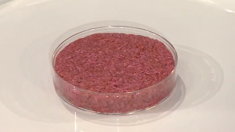 La carne d’allevamento può essere 335 volte peggiore per il clima rispetto alla carne di maiale Pigbusiness.nl La carne d’allevamento può essere 335 volte peggiore per il clima rispetto alla carne di maiale Pigbusiness.nl