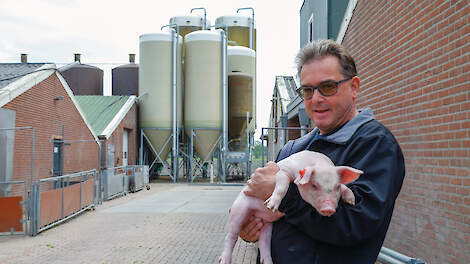 Cees van den Broek: „Genetisch is een enorme sprong gemaakt in aantal biggen. Zeugen werpen meer biggen dan ze zelf kunnen verzorgen.”