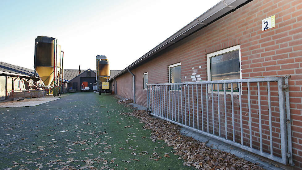 De voerkosten bedragen 60 procent van de bedrijfskosten.