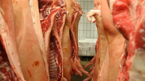 Forse stijging import varkensvlees in China; Nederland plust 37 procent
