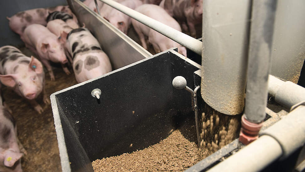 „De voerprijzen liggen op een structureel hoger niveau dan vijf jaar geleden. Daar moeten we in de sector rekening mee houden”, zegt Fons van Katwijk van Voergroep Zuid.