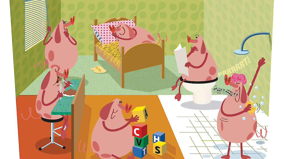 Functiegebieden: slaapplek achterin, voerplek aan de zijkant voorin, mesten aan de andere zijkant en spelen in het midden.