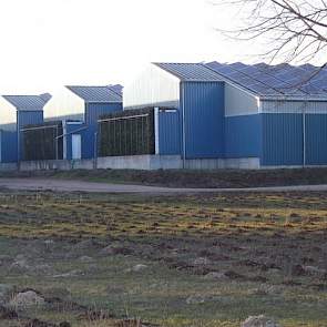 Om geuroverlast tegen te gaan, bouwt Straathof sinds 2006 standaard een luchtwasser op zijn stallen. In Gladau zijn nog niet alle stallen voorzien van een wasser. De luchtwassers reduceren stof en ammoniak tot 80 procent en geur tot 90 procent.
