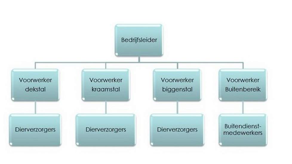 Elke productielocatie werkt met een bedrijfsleider die verantwoordelijk is voor de technische resultaten op het bedrijf. Onder de bedrijfsleider werkt bij elke diergroep een voorwerker met daaronder de dierverzorgers. Straathof werkt in de stallen met lok