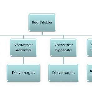 Elke productielocatie werkt met een bedrijfsleider die verantwoordelijk is voor de technische resultaten op het bedrijf. Onder de bedrijfsleider werkt bij elke diergroep een voorwerker met daaronder de dierverzorgers. Straathof werkt in de stallen met lok