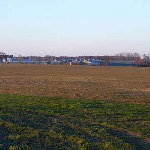 Het grondareaal van Adriaan Straathof beslaat in Duitsland ongeveer 1.400 hectare. Grotendeels is dit gepacht. Hij verbouwt hier voornamelijk snijmaïs voor zijn biogasinstallaties en klein beetje ccm voor eigen voerverbruik.