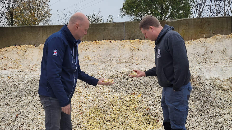 André Kamp en varkenshouder Martijn Vorkink bij de kuil met voorgebakken friet.