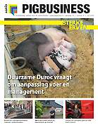 Vakblad Pig Business › Editie 2024-6