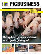 Vakblad Pig Business › Editie 2024-7