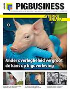 Vakblad Pig Business › Editie 2024-8