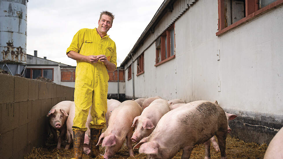 Wouter (39) Uwland houdt samen met zijn vrouw Caroliene (42) 260 Leicoma-zeugen en op een tweede locatie 1.000 vleesvarkens in het Oost-Duitse Gimritz. Ze streken hier in 2012 neer en zijn niet van plan om hier nog weg te gaan.