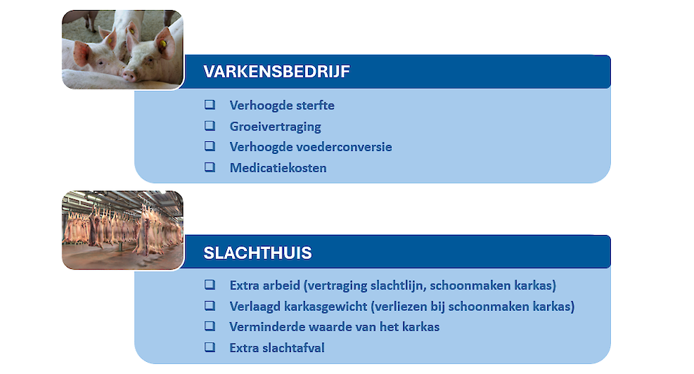 Schade veroorzaakt door APP infecties