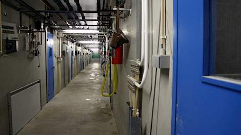 In de centrale gang hebben de deuren naar de afdeling dezelfde kleur als het gereedschap en de overall.