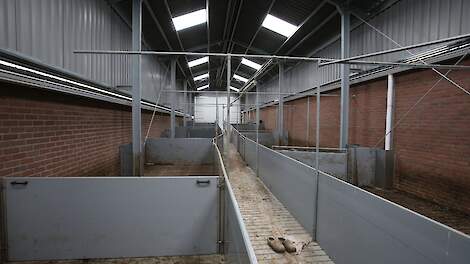 Binnen een jaar maken veel varkenshouders de keuze tussen stoppen of doorgaan.