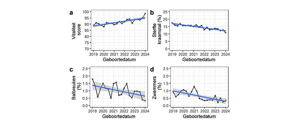 Evolutie van de gescoorde vitaliteit van biggen (a), sterfte in kraamstal in procenten (b), balbreuken per mannelijk levend geboren in procenten (c) en zwemmers per levend geboren in procenten (d) na het invoeren van de kraamstalindex in 2019. De blauwe l