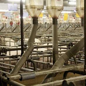 Spoelen is een goedkope en effectieve manier van voorreiniging. Na het indoseren van medicijnen moet men de waterleidingen goed reinigen in verband met het mogelijke risico van resistentie vorming in de leidingen!