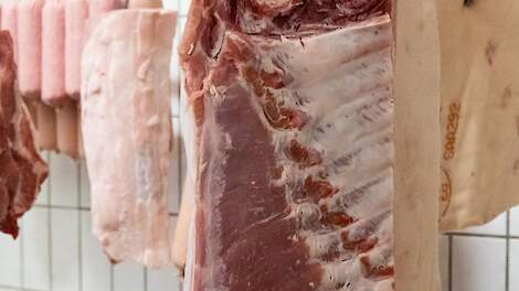 Van Rooi kort varkenshouders voor levering te zware varkens