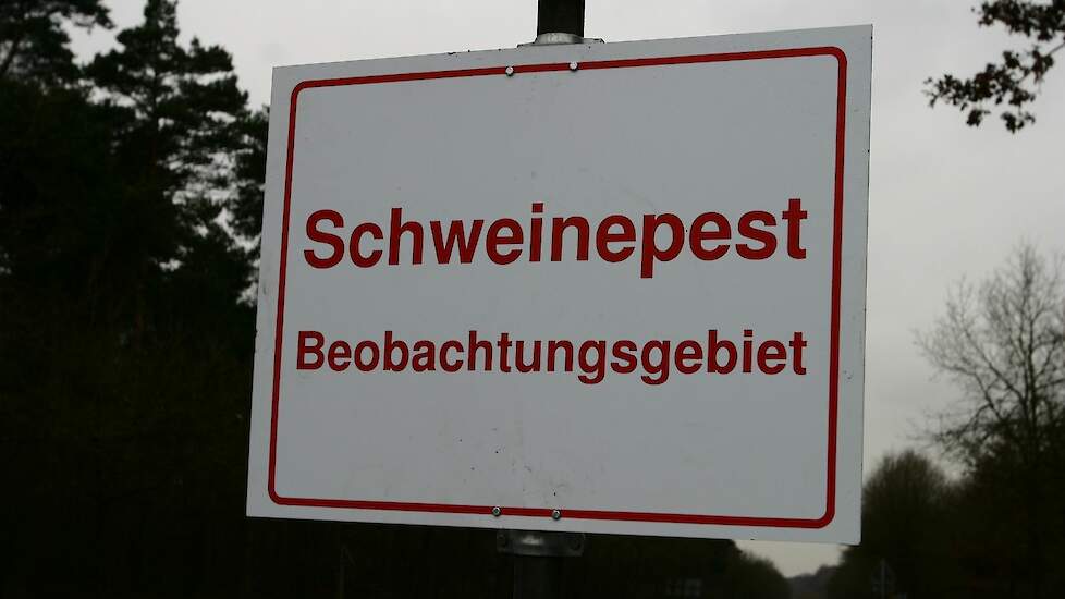 Zwei neue Schweinepest-Ausbrüche auf landwirtschaftlichen Betrieben in Hessen |  Pigbusiness.nl
