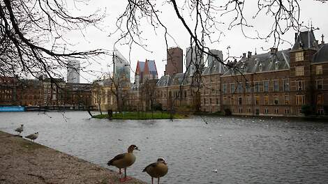 Dit vinden Kamerleden van de mestbrief van Wiersma