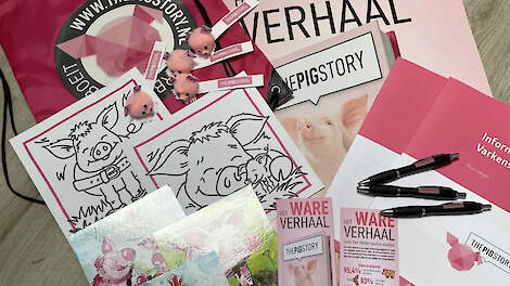 HBIVV Kandidaat 4: ‘Iedere varkenshouder kan steentje bijdragen aan sectorpromotie’