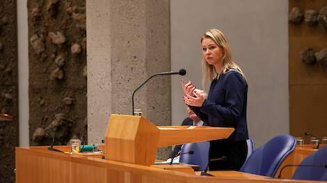 Liveblog begrotingsdebat donderdag (gesloten): Minister wil in 2025 vergoeding stikstofbindende gewassen in stand houden