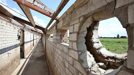 Buurman niet tevreden over plan woningbouw stoppende varkenshouder uit Raalte